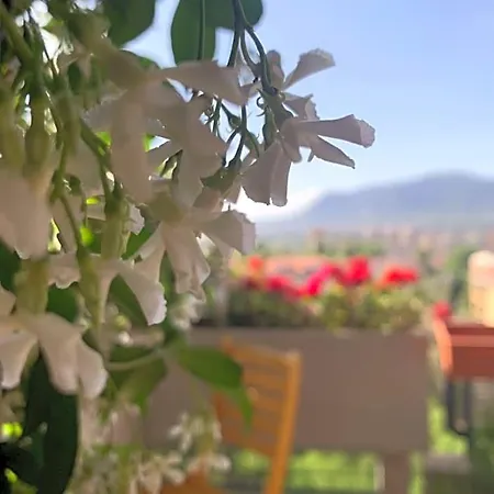 San Valentino 3* Terni